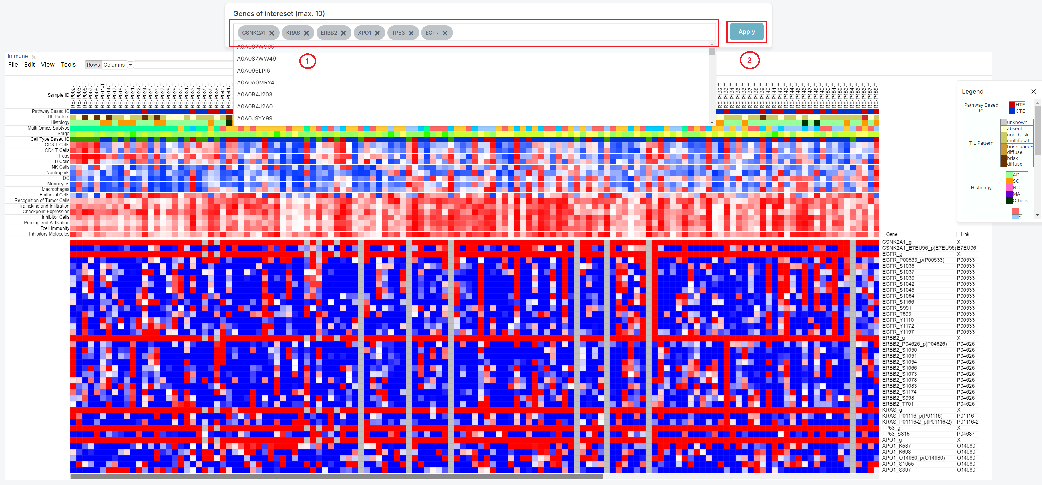 apply_gene_immune